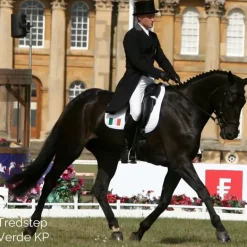 Tredstep Ireland Mens Verde Breeches