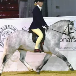Tuffa Show Boots
