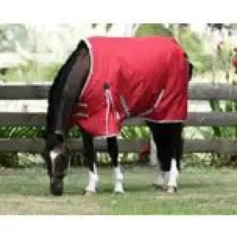 Weatherbeeta ComFiTec Classic Standard Neck Lite Plus