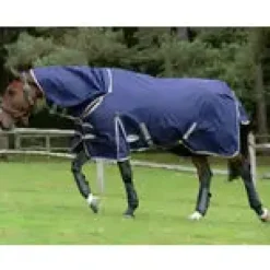 Weatherbeeta ComFiTec Essential Detach-A-Neck Medium