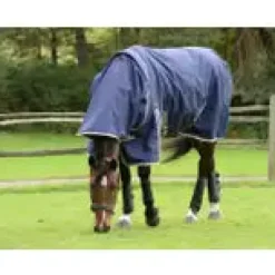 Weatherbeeta ComFiTec Essential Detach-A-Neck Medium