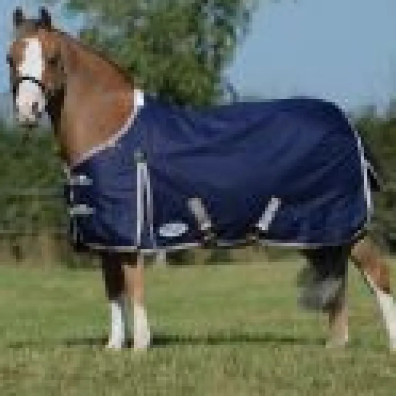 Weatherbeeta Comfitec Essential Standard Neck Lite