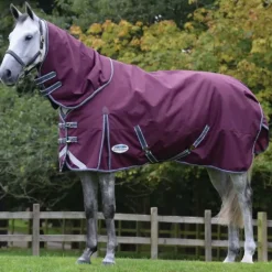Weatherbeeta Comfitec Plus Dynamic II Detach a Neck Medium