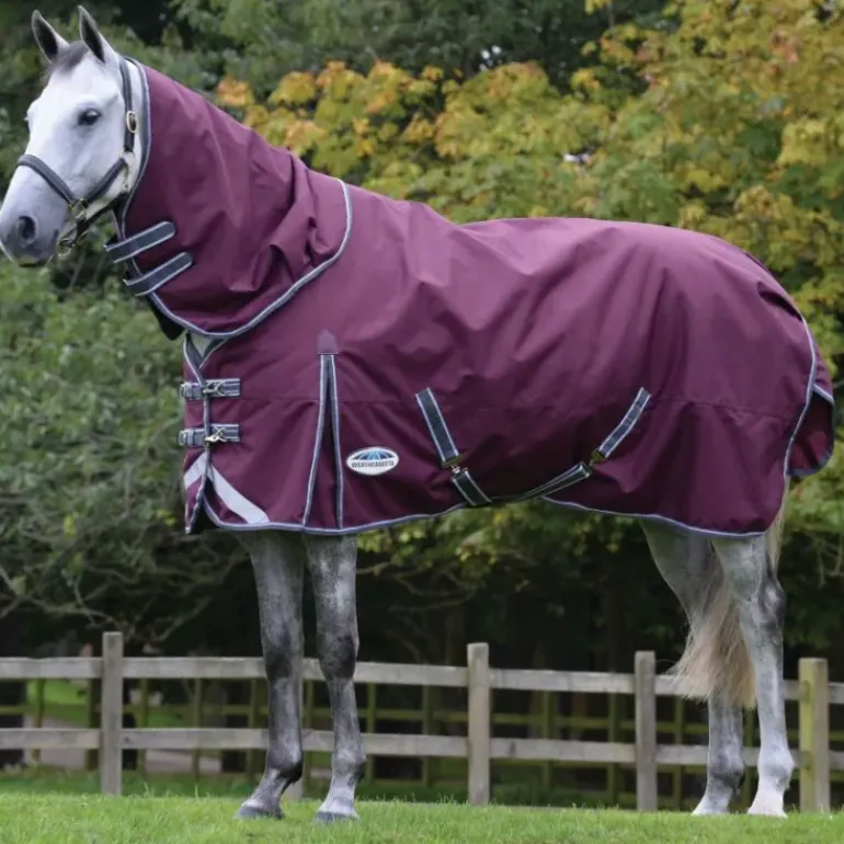 Weatherbeeta Comfitec Plus Dynamic II Detach a Neck Medium